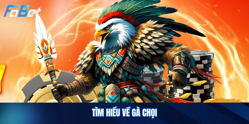 Tìm Hiểu Về Gà Chọi