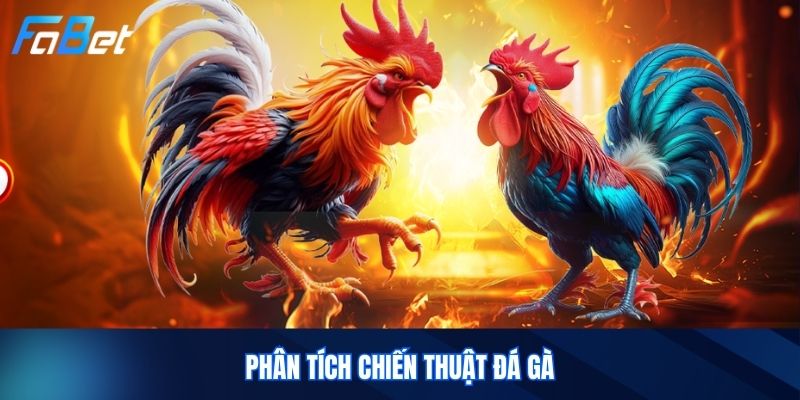 Phân Tích Chiến Thuật Đá Gà
