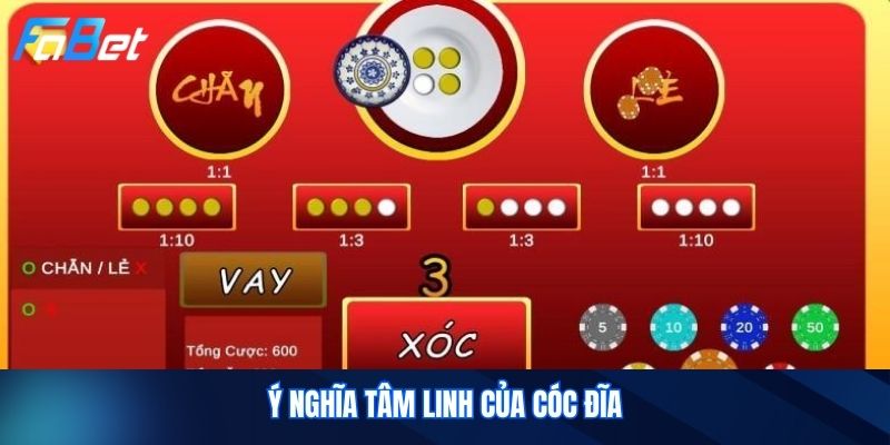 Ý Nghĩa Tâm Linh Của Cóc Đĩa