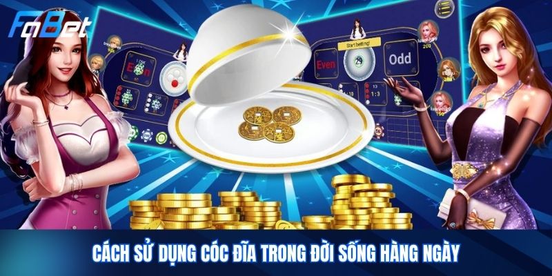 Cách Sử Dụng Cóc Đĩa Trong Đời Sống Hàng Ngày