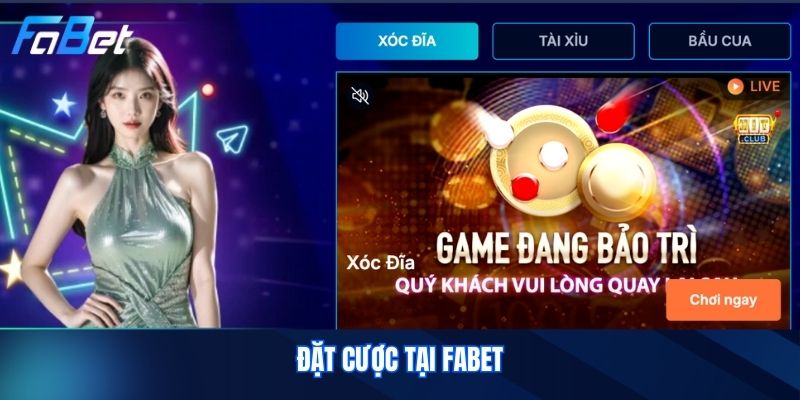 Đặt Cược Tại FABET