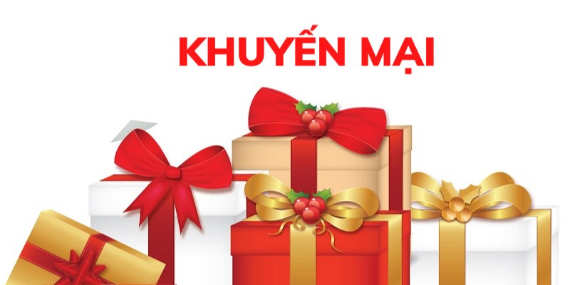 Chính sách ưu đãi của 2 nền tảng